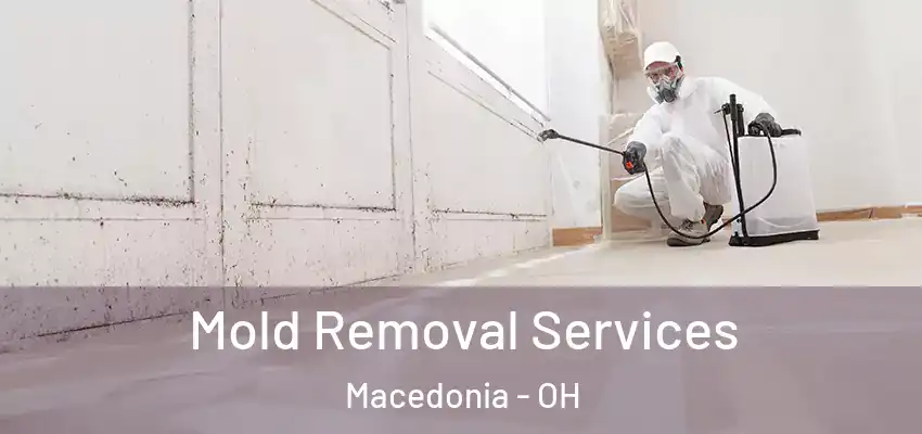 Mold Removal Services Macedonia - OH