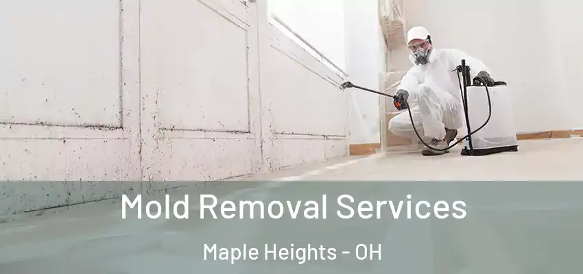Mold Removal Services Maple Heights - OH