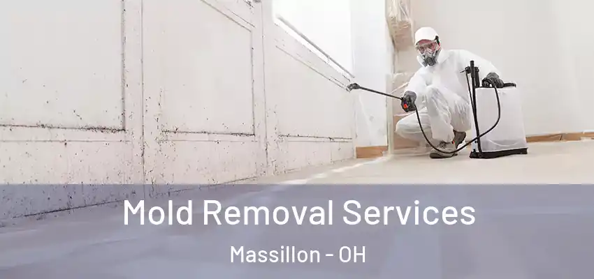 Mold Removal Services Massillon - OH