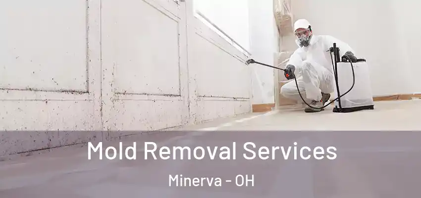  Mold Removal Services Minerva - OH