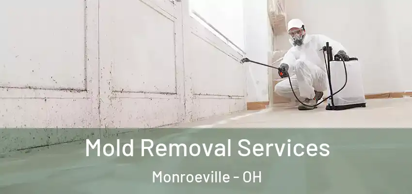  Mold Removal Services Monroeville - OH