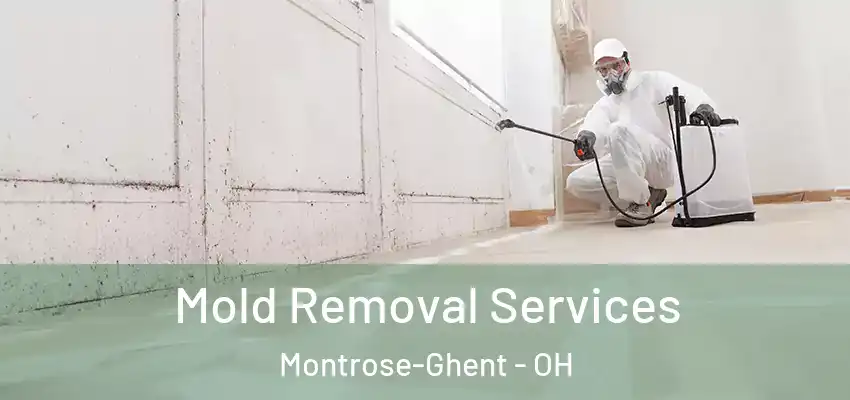  Mold Removal Services Montrose-Ghent - OH