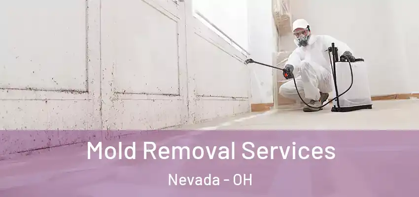 Mold Removal Services Nevada - OH