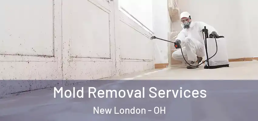  Mold Removal Services New London - OH