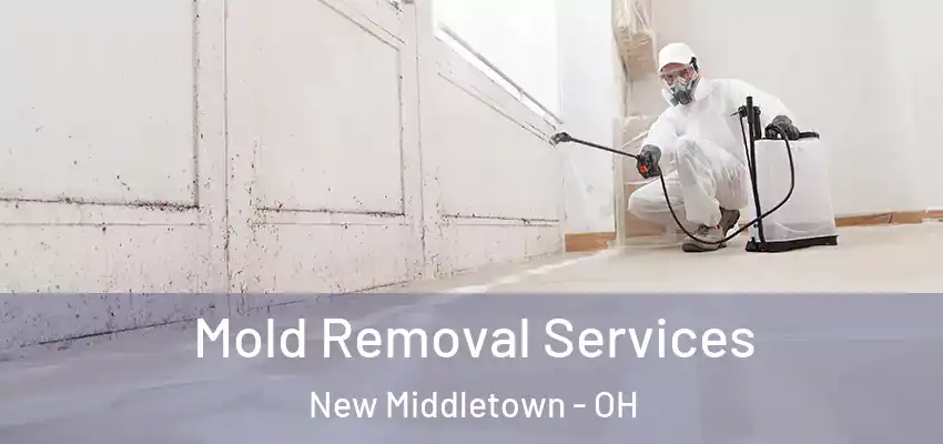Mold Removal Services New Middletown - OH