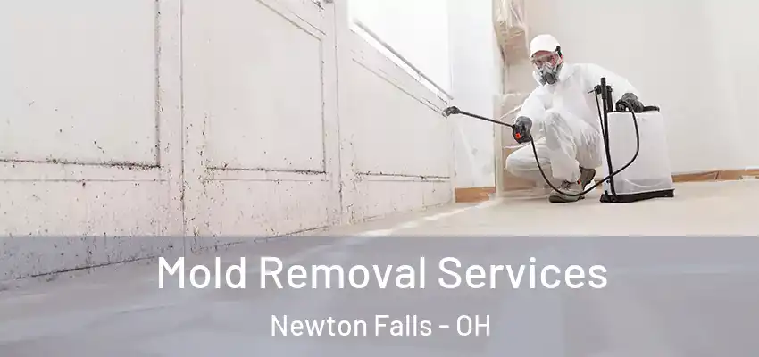 Mold Removal Services Newton Falls - OH