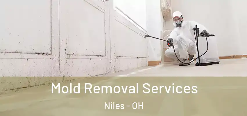 Mold Removal Services Niles - OH