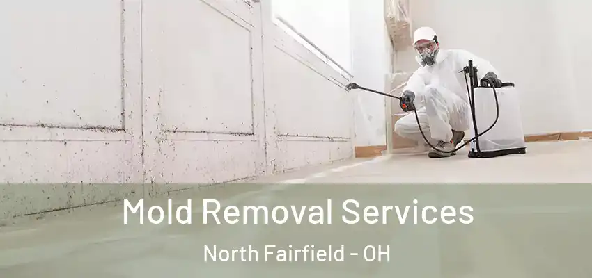Mold Removal Services North Fairfield - OH