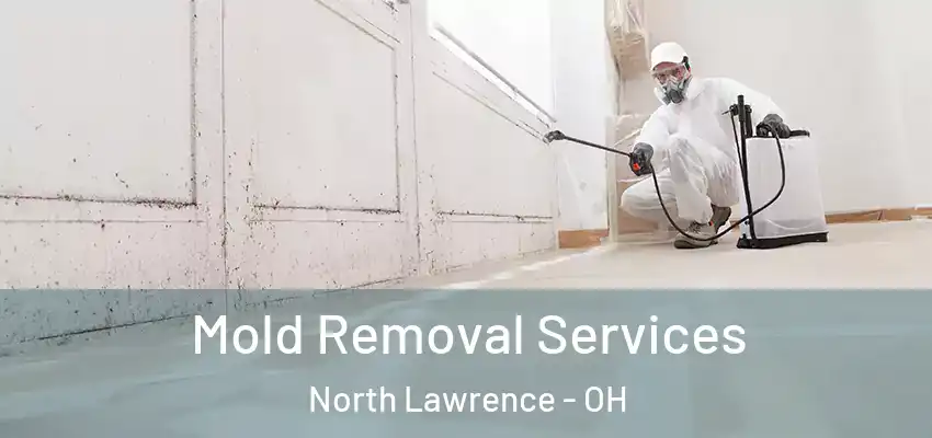  Mold Removal Services North Lawrence - OH