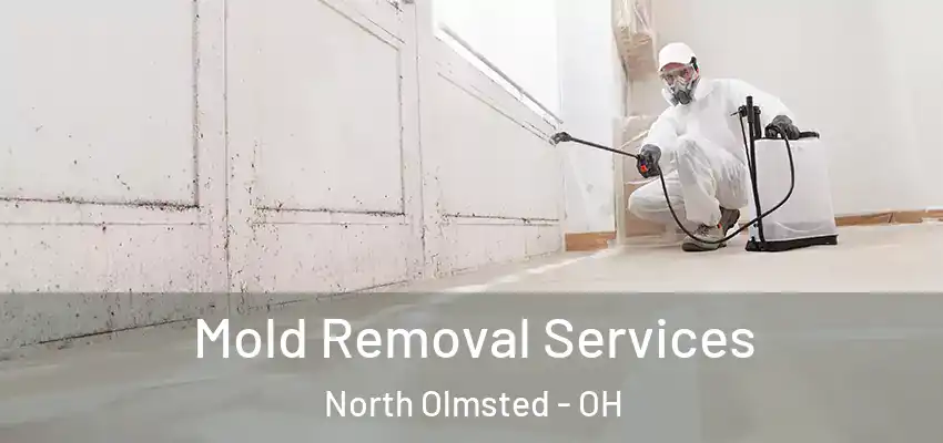 Mold Removal Services North Olmsted - OH