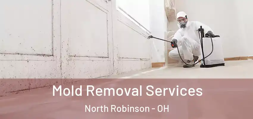Mold Removal Services North Robinson - OH