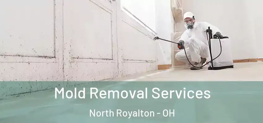 Mold Removal Services North Royalton - OH