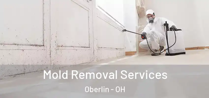 Mold Removal Services Oberlin - OH
