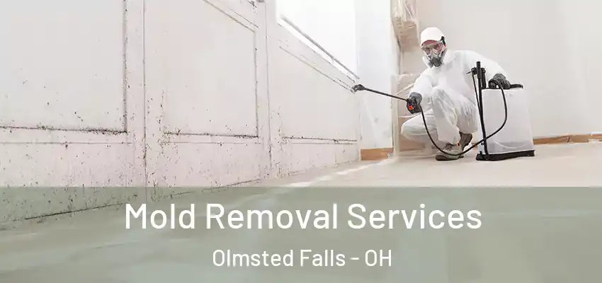 Mold Removal Services Olmsted Falls - OH