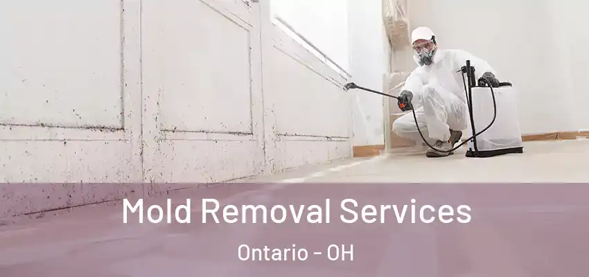 Mold Removal Services Ontario - OH