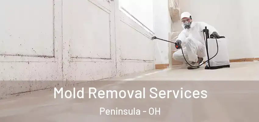  Mold Removal Services Peninsula - OH