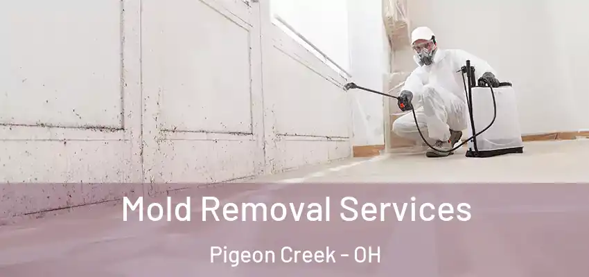  Mold Removal Services Pigeon Creek - OH