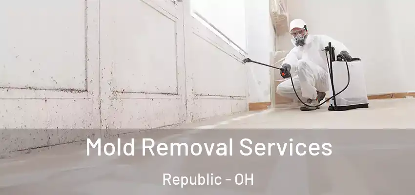  Mold Removal Services Republic - OH