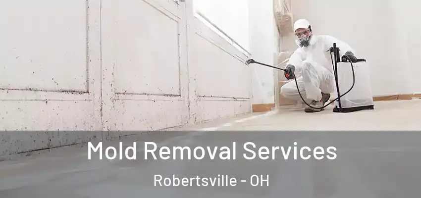 Mold Removal Services Robertsville - OH