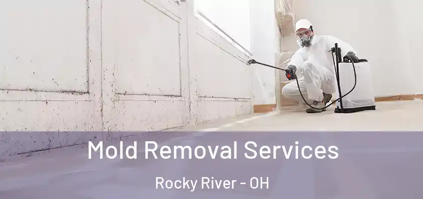 Mold Removal Services Rocky River - OH