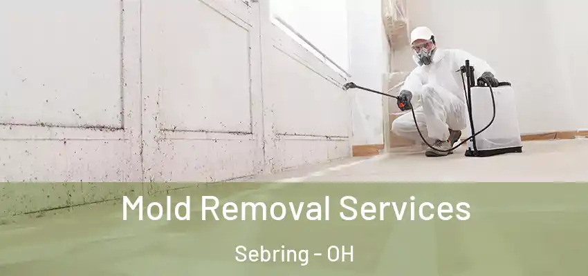  Mold Removal Services Sebring - OH