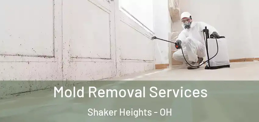 Mold Removal Services Shaker Heights - OH