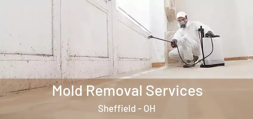 Mold Removal Services Sheffield - OH
