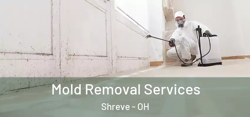  Mold Removal Services Shreve - OH