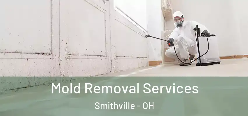  Mold Removal Services Smithville - OH