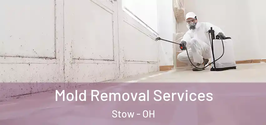 Mold Removal Services Stow - OH