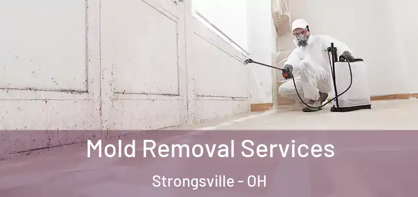 Mold Removal Services Strongsville - OH