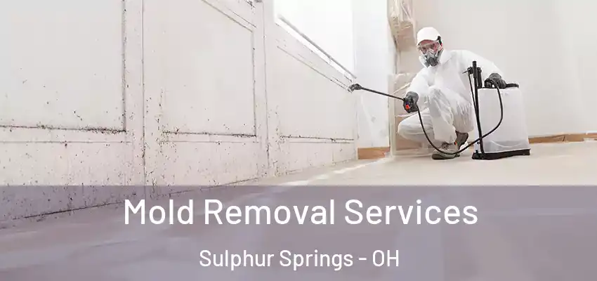  Mold Removal Services Sulphur Springs - OH