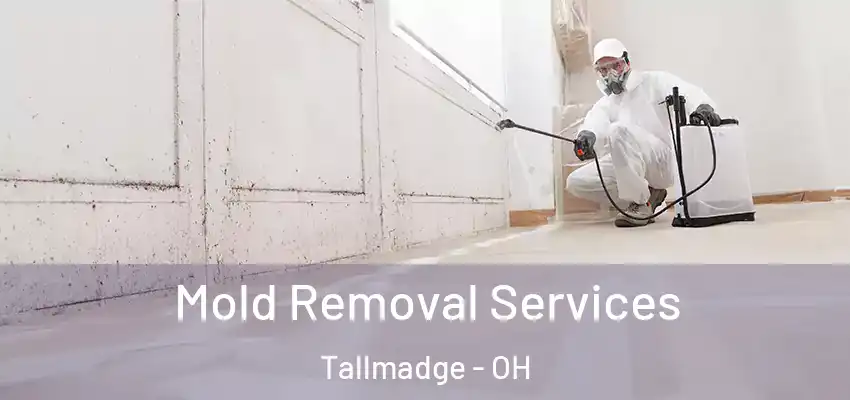 Mold Removal Services Tallmadge - OH