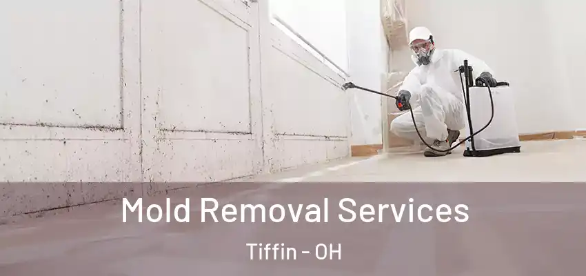 Mold Removal Services Tiffin - OH