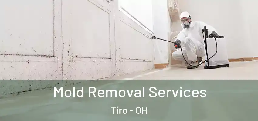  Mold Removal Services Tiro - OH