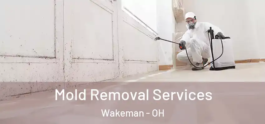  Mold Removal Services Wakeman - OH