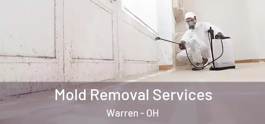  Mold Removal Services Warren - OH