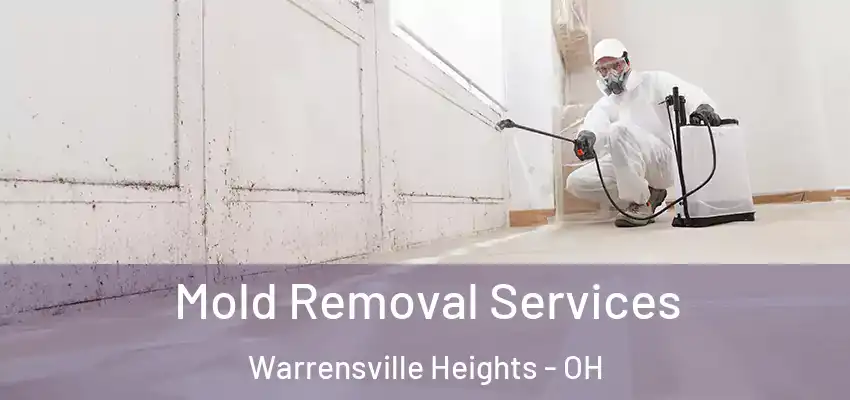 Mold Removal Services Warrensville Heights - OH