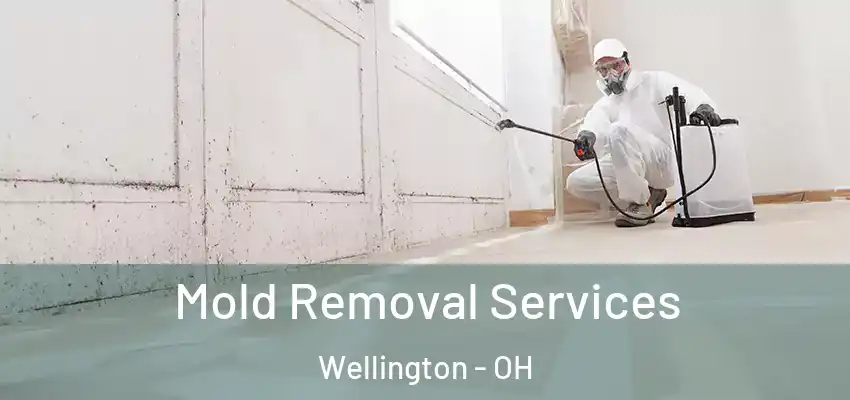 Mold Removal Services Wellington - OH