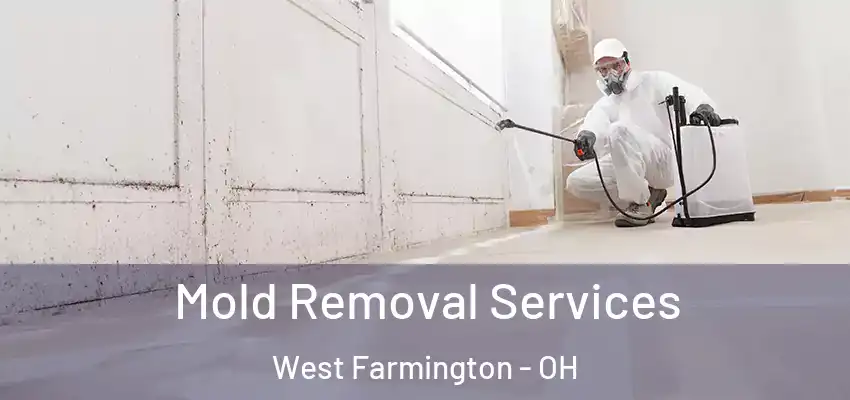 Mold Removal Services West Farmington - OH