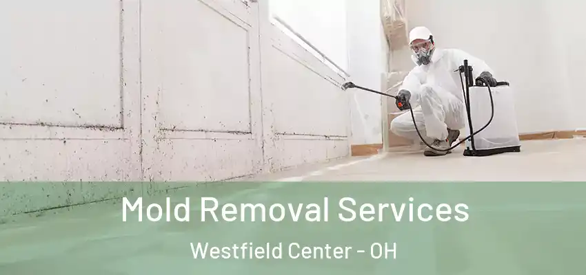  Mold Removal Services Westfield Center - OH