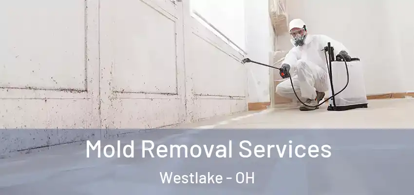 Mold Removal Services Westlake - OH
