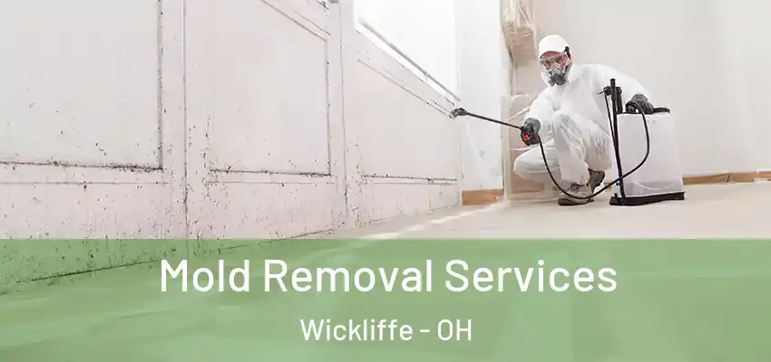 Mold Removal Services Wickliffe - OH