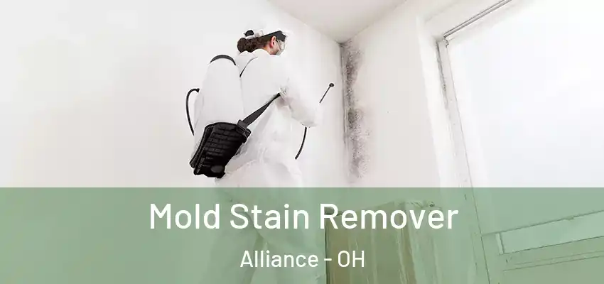 Mold Stain Remover Alliance - OH