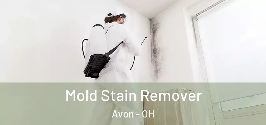 Mold Stain Remover Avon - OH