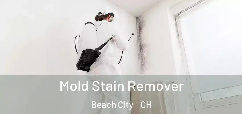  Mold Stain Remover Beach City - OH