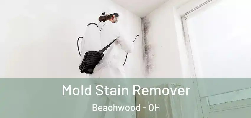 Mold Stain Remover Beachwood - OH