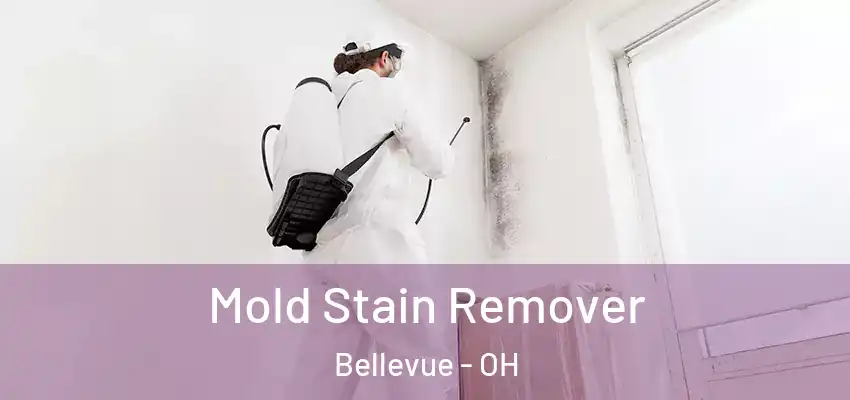 Mold Stain Remover Bellevue - OH