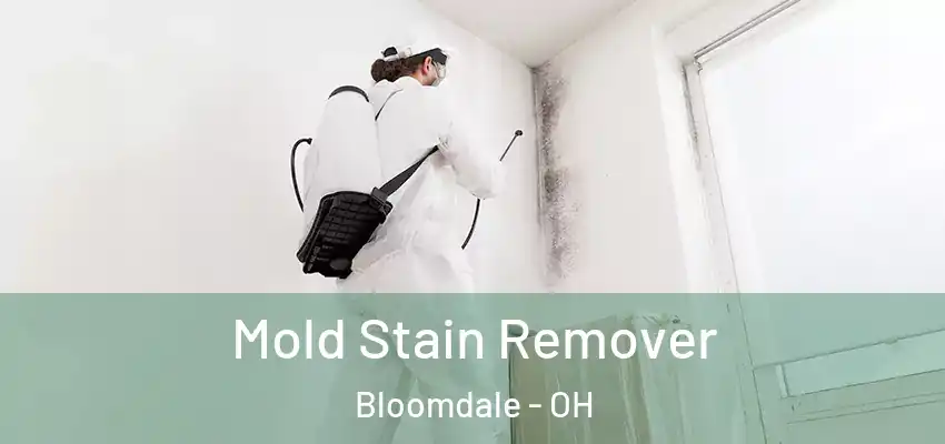 Mold Stain Remover Bloomdale - OH