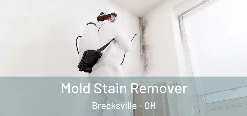  Mold Stain Remover Brecksville - OH